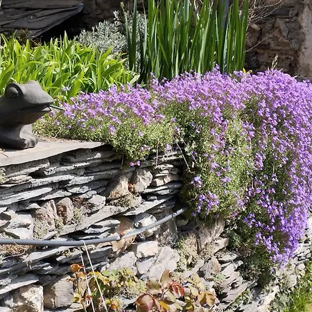 Bed & Breakfast La Stregatta 3*