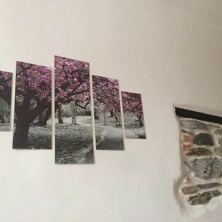La Stregatta B&B 트리오라