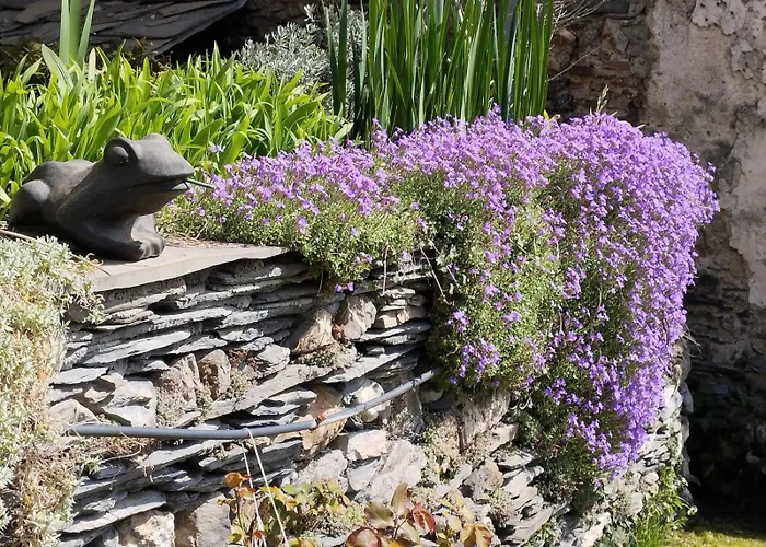 Alojamento de Acomodação e Pequeno-almoço La Stregatta 3*