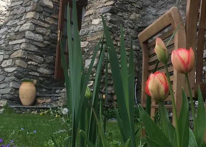 Alojamento de Acomodação e Pequeno-almoço La Stregatta 3*