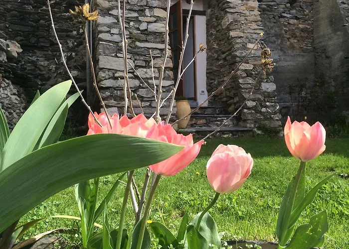 Bed & Breakfast La Stregatta